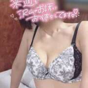 ヒメ日記 2026/02/09 00:35 投稿 きょうこ トマトなび