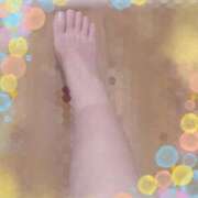 ヒメ日記 2026/03/24 17:16 投稿 きょうこ トマトなび