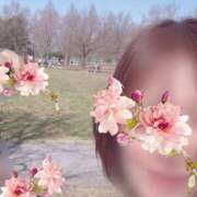 ヒメ日記 2026/03/26 08:46 投稿 きょうこ トマトなび