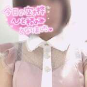 ヒメ日記 2026/03/29 12:12 投稿 きょうこ トマトなび