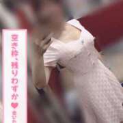 ヒメ日記 2026/06/04 13:13 投稿 きょうこ トマトなび