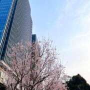 ヒメ日記 2025/03/27 14:00 投稿 すみれ スイカ