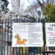 ヒメ日記 2025/04/01 16:10 投稿 すみれ スイカ