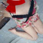 ヒメ日記 2024/12/11 19:24 投稿 みのり トマトなび