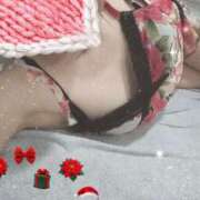 ヒメ日記 2024/12/12 16:02 投稿 みのり トマトなび