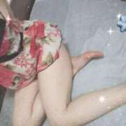 ヒメ日記 2024/12/13 11:05 投稿 みのり トマトなび