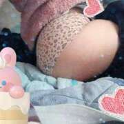 ヒメ日記 2024/12/19 10:32 投稿 みのり トマトなび