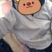 ヒメ日記 2024/12/21 10:09 投稿 みのり トマトなび