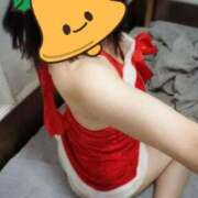 ヒメ日記 2024/12/24 16:41 投稿 みのり トマトなび