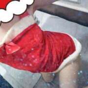 ヒメ日記 2024/12/26 13:16 投稿 みのり トマトなび