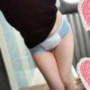 ヒメ日記 2024/12/26 18:01 投稿 みのり トマトなび