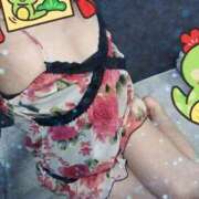 ヒメ日記 2025/01/12 00:37 投稿 みのり トマトなび