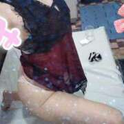 ヒメ日記 2025/01/19 02:01 投稿 みのり トマトなび