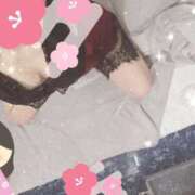 ヒメ日記 2025/02/28 22:09 投稿 みのり トマトなび