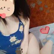 ヒメ日記 2025/03/10 00:18 投稿 みのり トマトなび