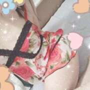 ヒメ日記 2025/03/24 19:01 投稿 みのり トマトなび