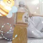 ヒメ日記 2025/04/06 23:51 投稿 みのり トマトなび