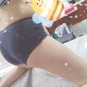 ヒメ日記 2025/04/14 14:51 投稿 みのり トマトなび