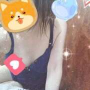 ヒメ日記 2025/04/29 22:54 投稿 みのり トマトなび