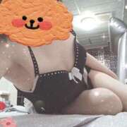 ヒメ日記 2025/05/24 20:18 投稿 みのり トマトなび