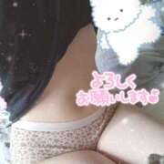 ヒメ日記 2025/07/13 08:18 投稿 みのり トマトなび