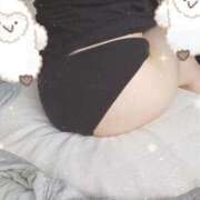 ヒメ日記 2025/07/14 14:10 投稿 みのり トマトなび