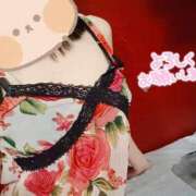 ヒメ日記 2025/07/21 07:52 投稿 みのり トマトなび