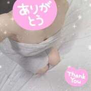 ヒメ日記 2025/07/25 00:41 投稿 みのり トマトなび