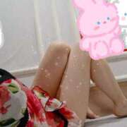 ヒメ日記 2025/08/10 07:29 投稿 みのり トマトなび