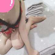 ヒメ日記 2025/08/14 22:07 投稿 みのり トマトなび