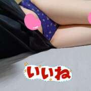 ヒメ日記 2025/08/24 01:52 投稿 みのり トマトなび