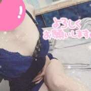 ヒメ日記 2025/08/25 15:35 投稿 みのり トマトなび