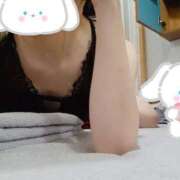 ヒメ日記 2025/08/29 07:34 投稿 みのり トマトなび