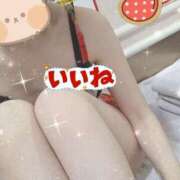 ヒメ日記 2025/09/05 22:09 投稿 みのり トマトなび