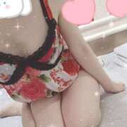 ヒメ日記 2025/09/11 07:46 投稿 みのり トマトなび