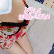 ヒメ日記 2025/09/14 19:20 投稿 みのり トマトなび