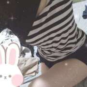 ヒメ日記 2025/09/16 07:50 投稿 みのり トマトなび