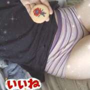 ヒメ日記 2025/09/27 13:35 投稿 みのり トマトなび