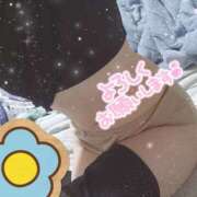 ヒメ日記 2025/09/29 15:36 投稿 みのり トマトなび