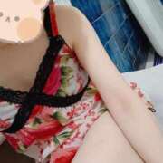 ヒメ日記 2025/09/30 00:27 投稿 みのり トマトなび