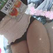 ヒメ日記 2025/10/10 07:55 投稿 みのり トマトなび