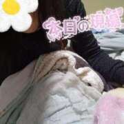 ヒメ日記 2025/10/12 22:53 投稿 みのり トマトなび