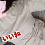 ヒメ日記 2025/10/30 15:35 投稿 みのり トマトなび