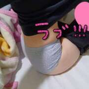 ヒメ日記 2025/11/01 07:21 投稿 みのり トマトなび