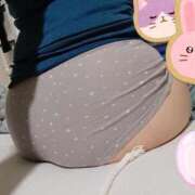 ヒメ日記 2025/11/07 19:50 投稿 みのり トマトなび