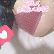 ヒメ日記 2025/11/09 08:39 投稿 みのり トマトなび