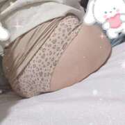 ヒメ日記 2025/11/11 07:29 投稿 みのり トマトなび