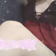 ヒメ日記 2025/11/23 19:01 投稿 みのり トマトなび