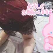 ヒメ日記 2025/11/27 13:30 投稿 みのり トマトなび