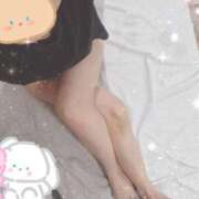 ヒメ日記 2025/12/08 07:49 投稿 みのり トマトなび